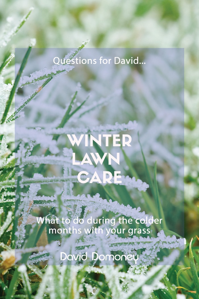 Can I cut my lawn over winter, or should I wait?