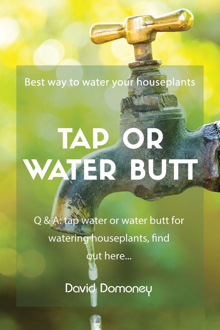 tap or water butt