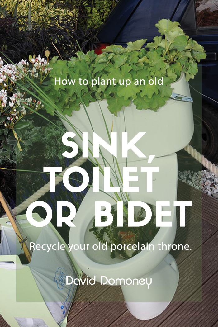 How to: plant up an old sink, toilet or bidet