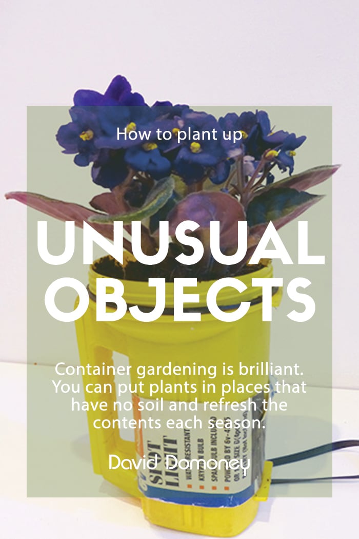 Container Gardening – How to: plant up unusual objects