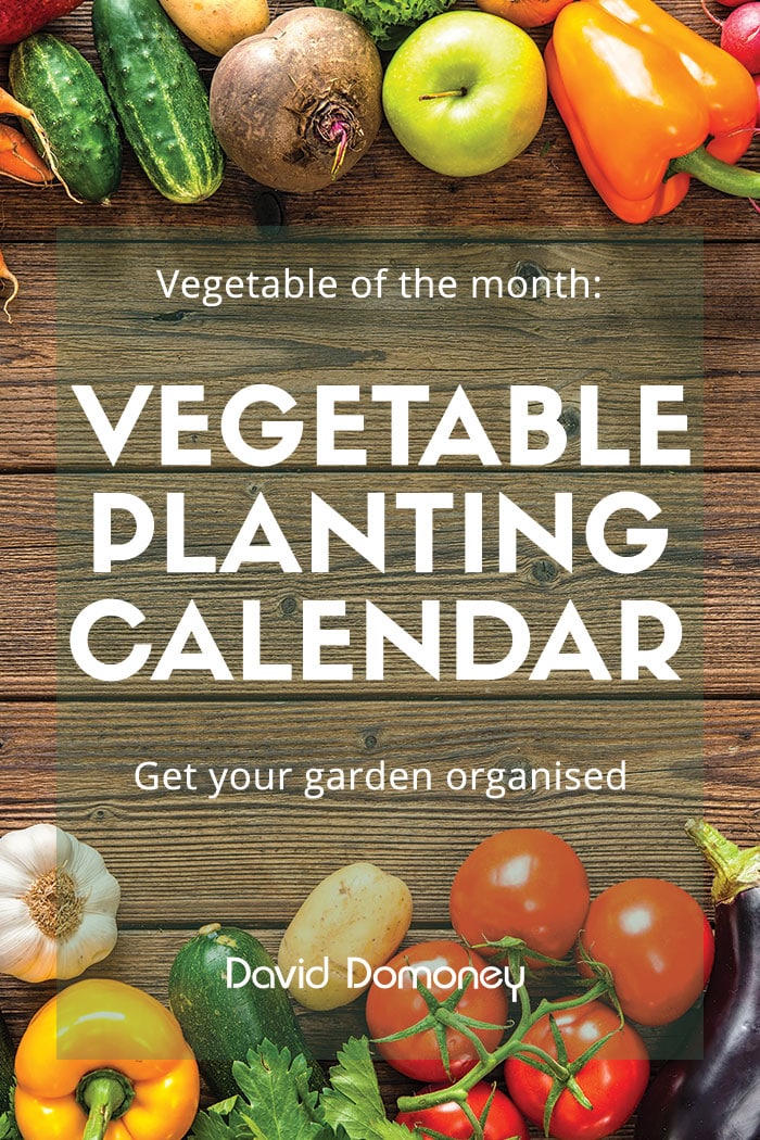 Grow your own veg with my planting calendar