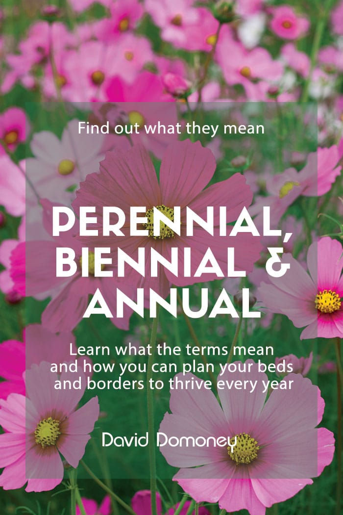 What do the terms perennial, biennial and annual mean?