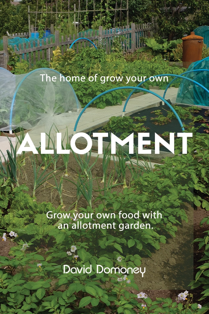 Allotment Britain: the home of grow your own