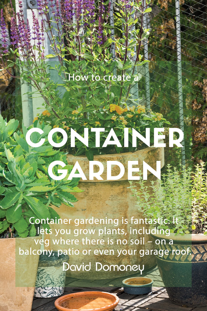 How to: create a luscious, low-maintenance container garden