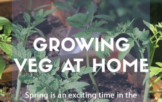 Growing vegetables at home part 1