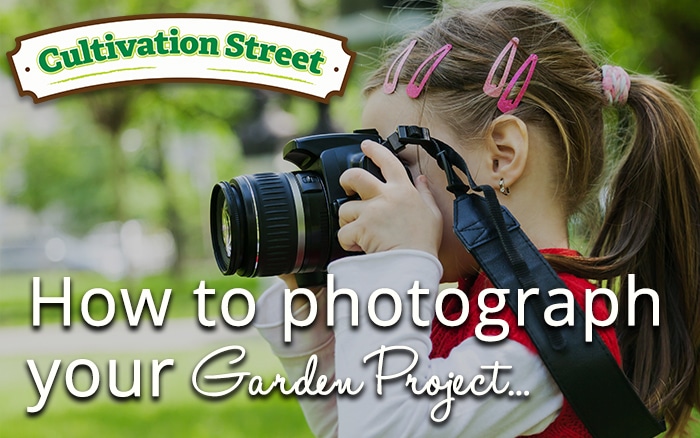 Cultivation Street: Guide To Photographing Your Entry