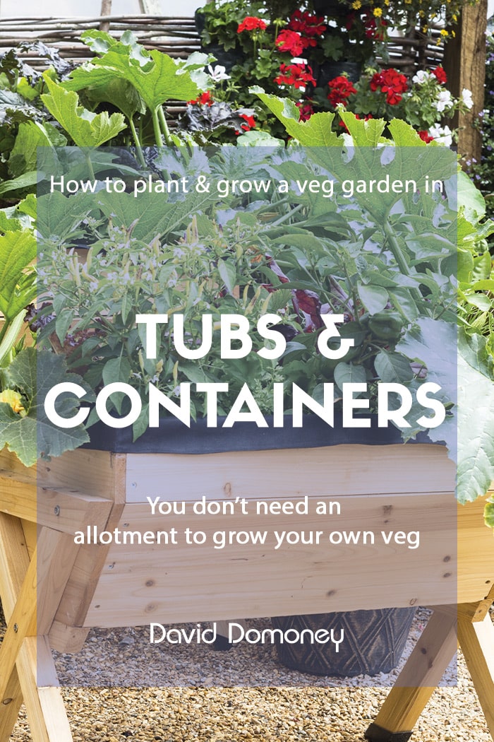 How to: plant and grow a vegetable garden in tubs and containers