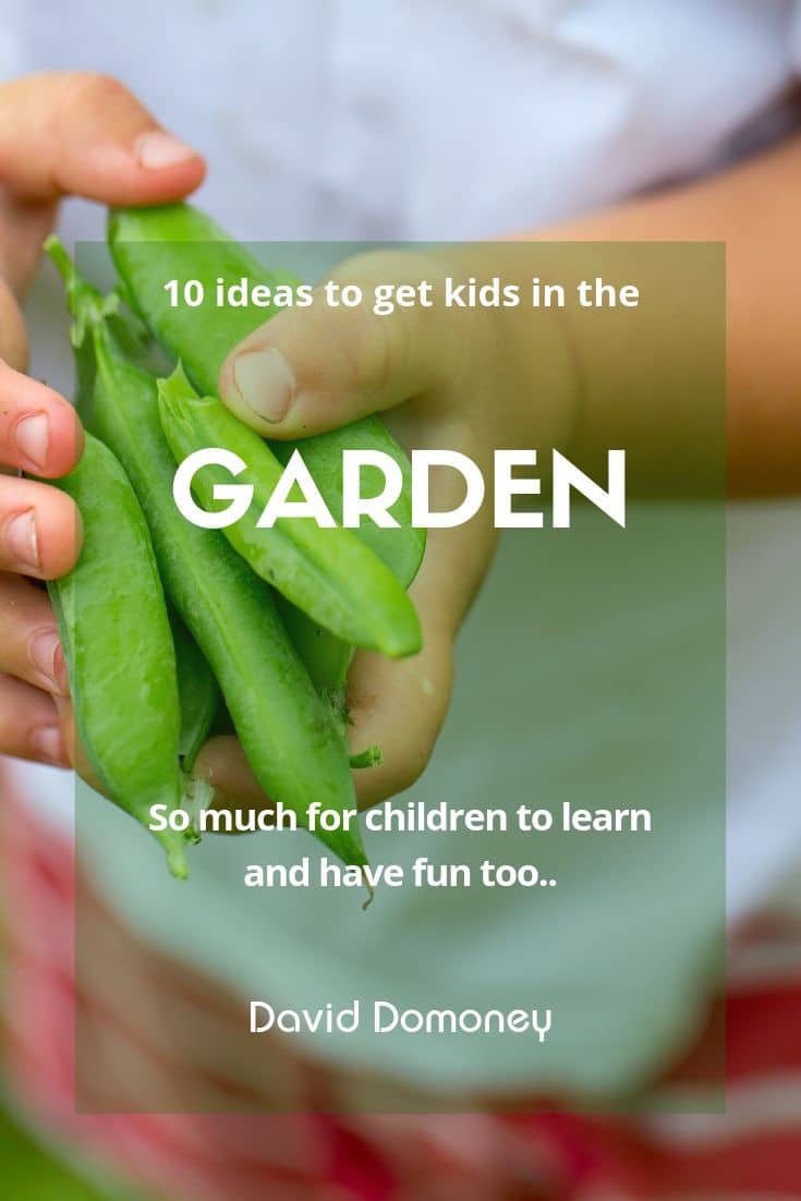 10 great ideas to get kids spending time in the garden this summer