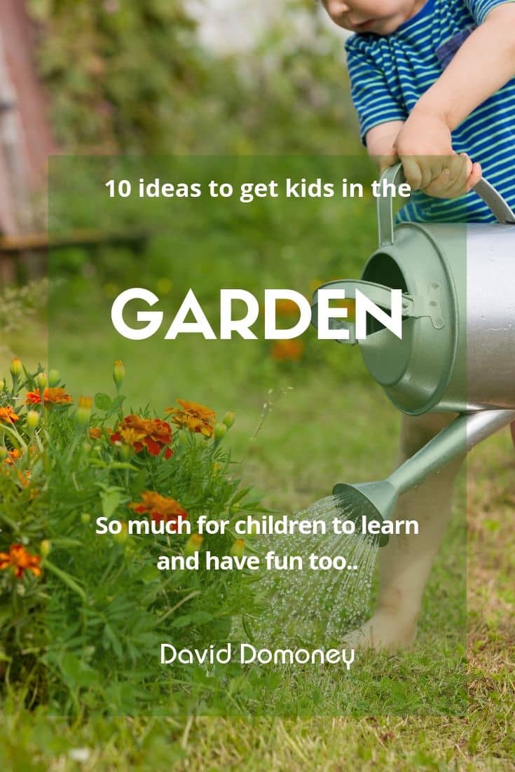 10 summer garden ideas for kids