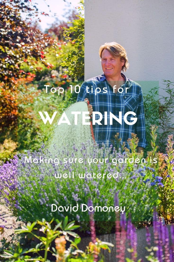 Top 10 tips for keeping your garden watered throughout the summer