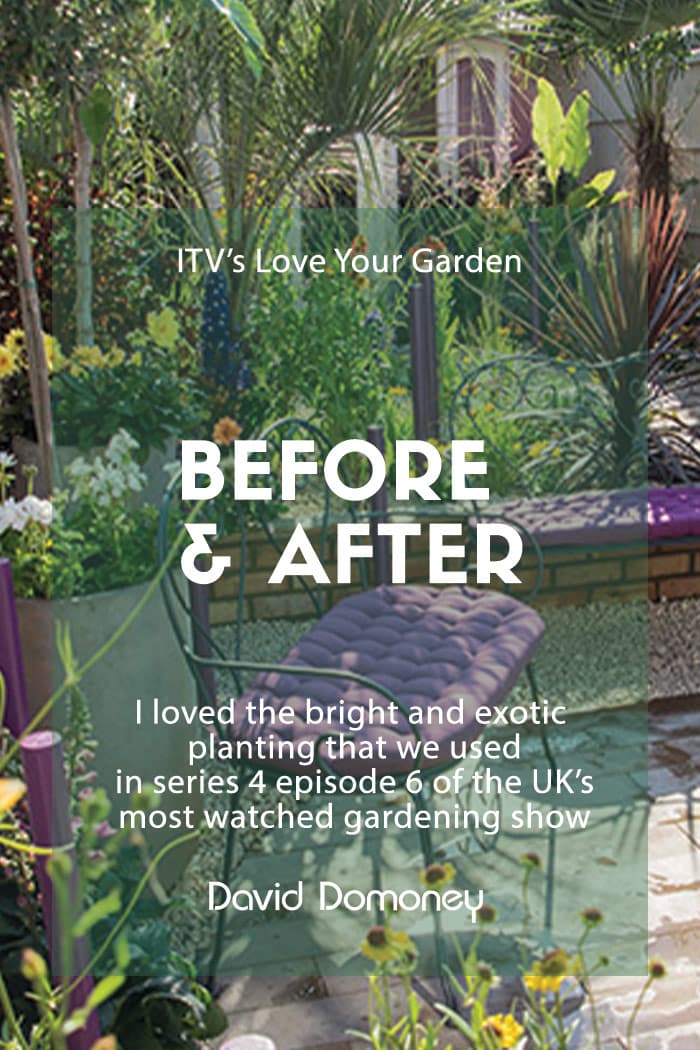 Love Your Garden series 4 episode 6: Before and after photos