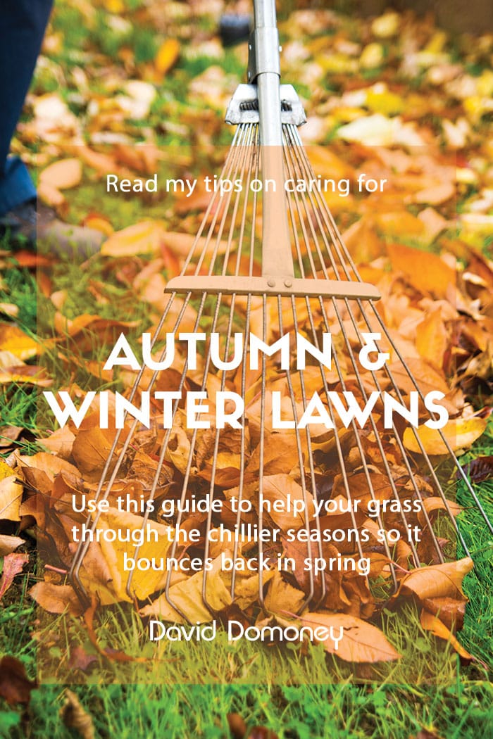 Top tips on how to care for your lawn in autumn and winter