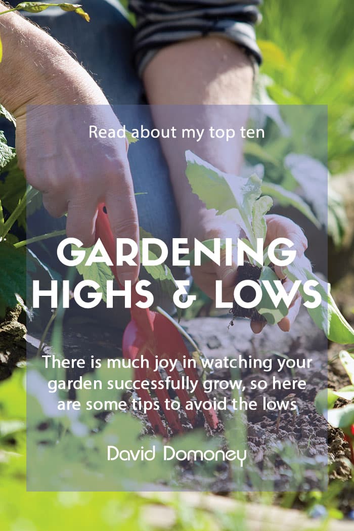 10 highs and lows of being a gardener – and how to avoid the lows