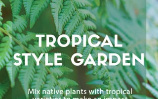 tropical style garden