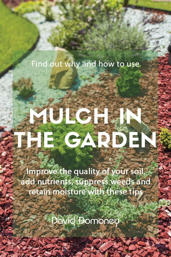 How and why to mulch beds and borders