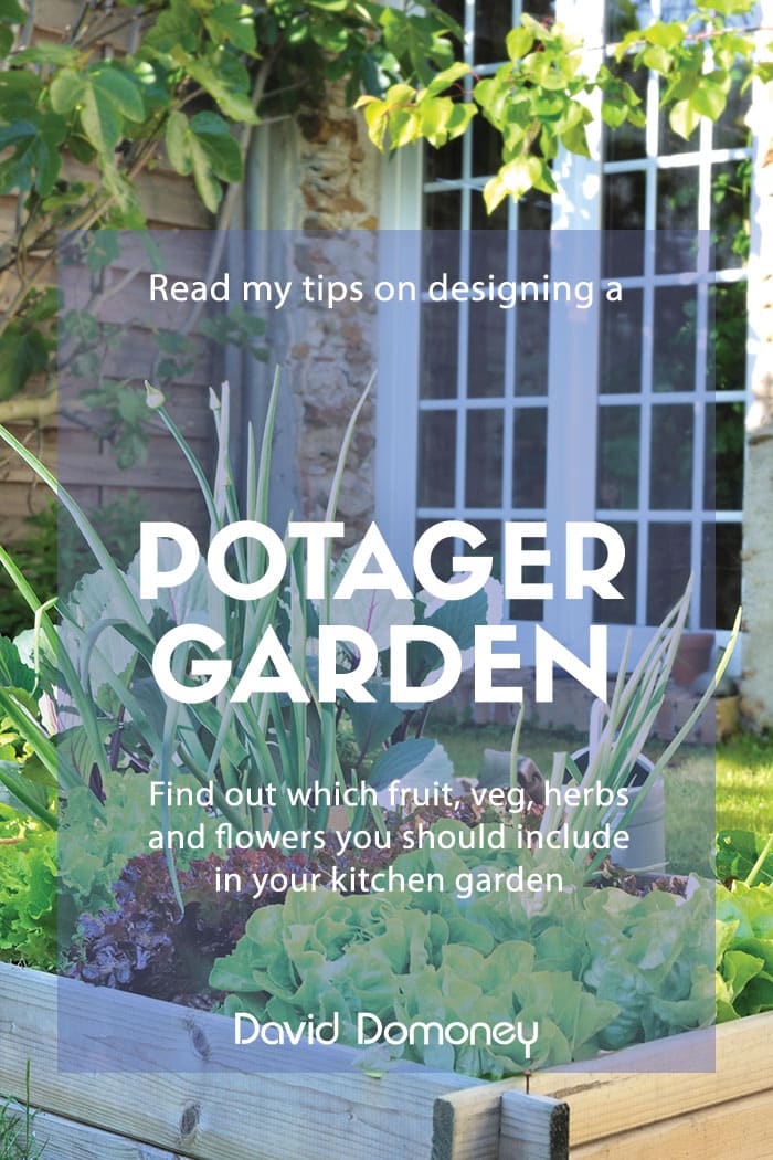 How to design a potager vegetable and flower garden