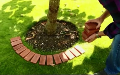 How to make an edging feature with hard landscaping