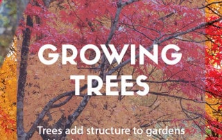 Growing trees feature