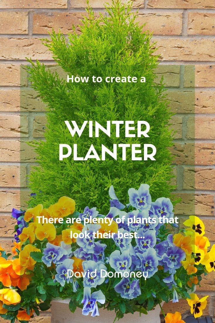 How to make a festive winter planter for outdoors