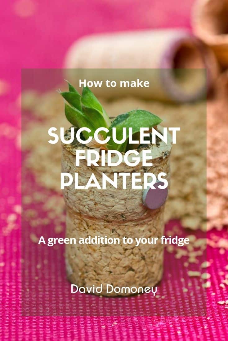 How to make succulent fridge door cork planters