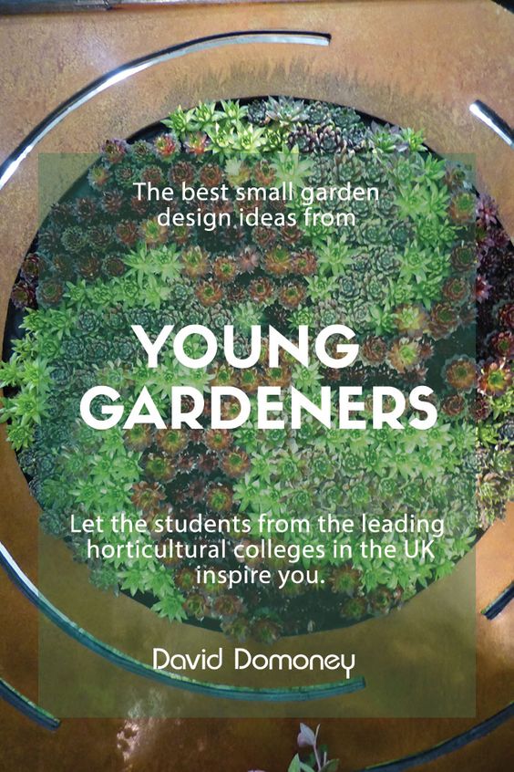 Small garden design ideas: Young Gardeners of the Year