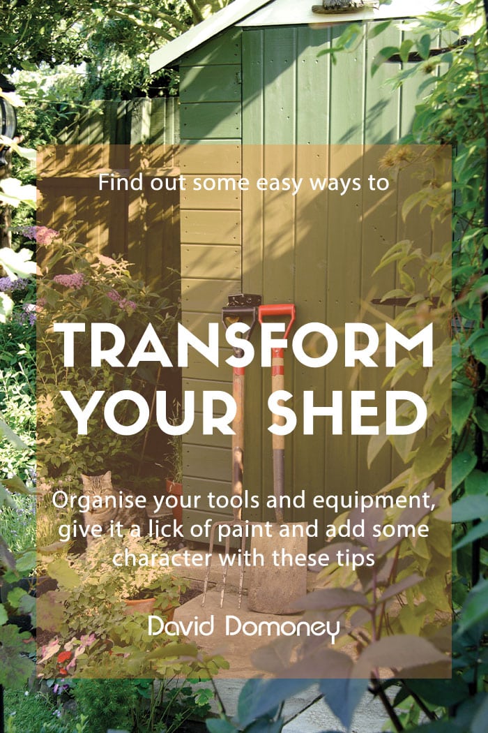 5 simple and cheap ways to transform your garden shed