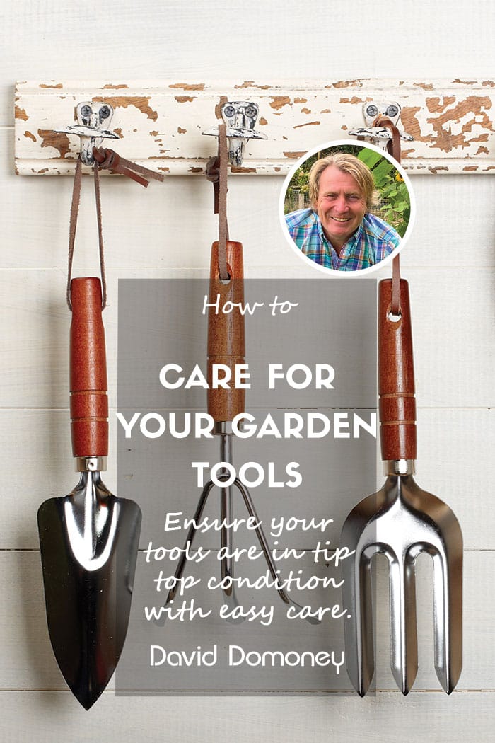 Quick gardening guide: How to clean garden tools