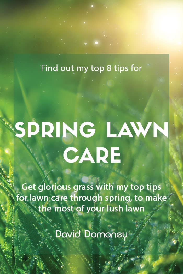 8 top lawn care tips for greener grass this spring