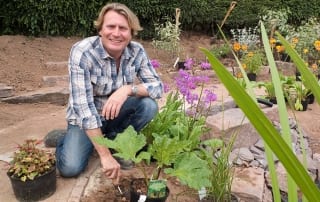 15-love-your-garden-presenter-david-domoney-planting-in-a-garden-makeover