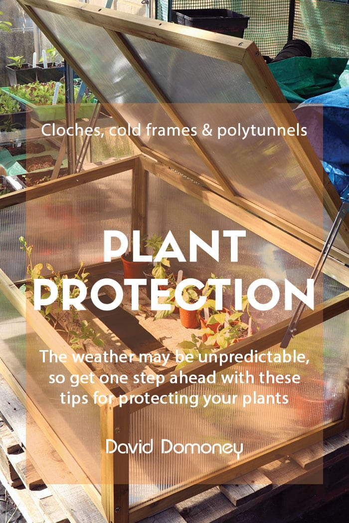 Protect plants in winter: Cloches, cold frames and polytunnels