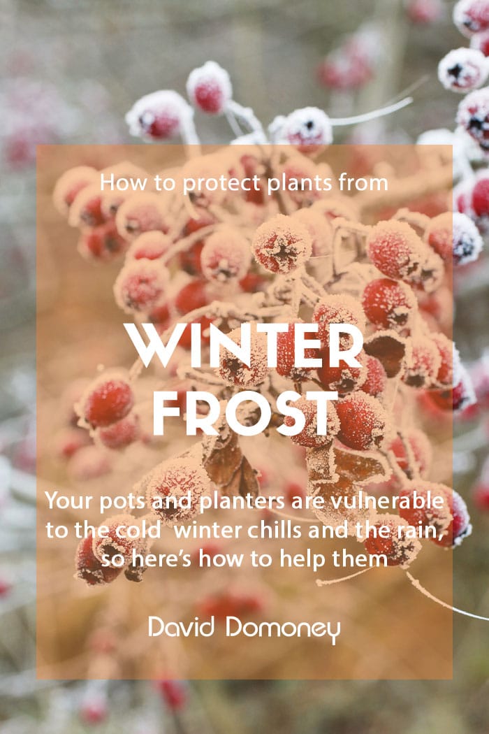 Protecting plants from winter frost