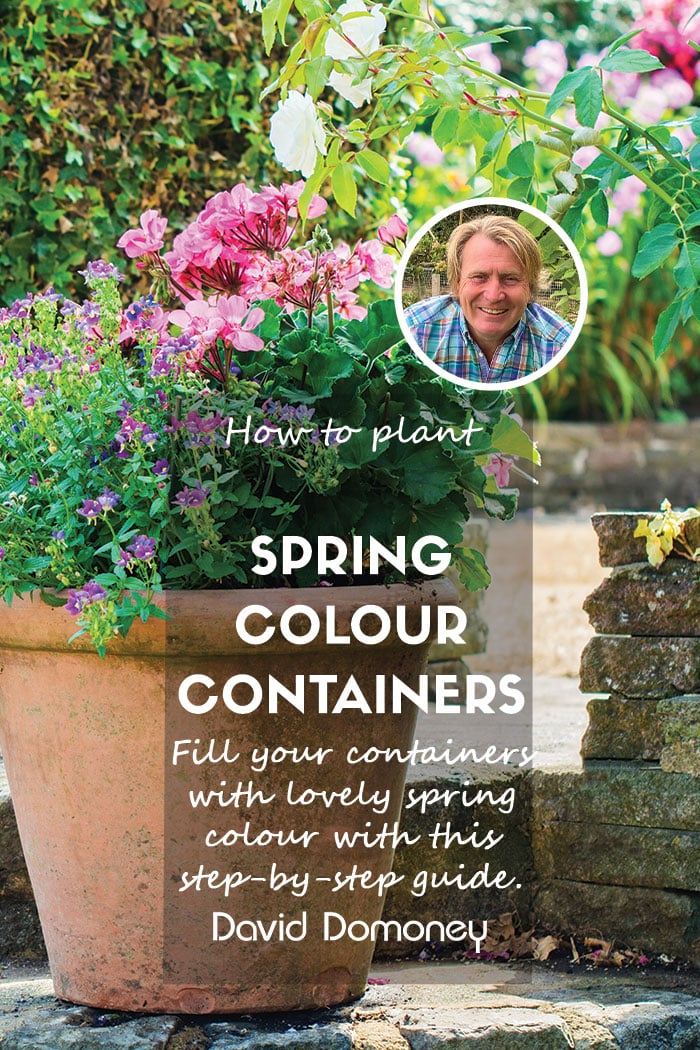 How to plant spring colour in containers: Step-by-step guide