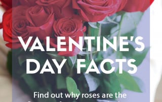 Valentine's Day facts