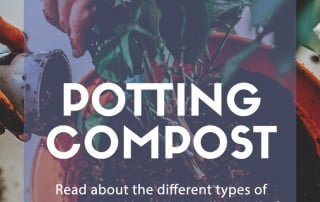 Choosing the right potting compost