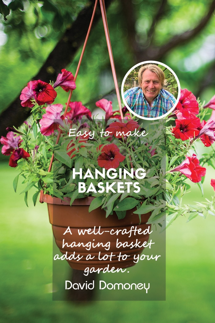 Hanging Baskets Made Easy