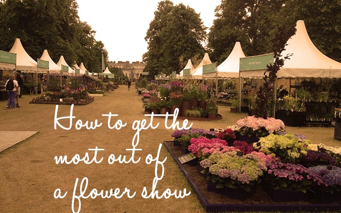 How to get the most out of a flower show