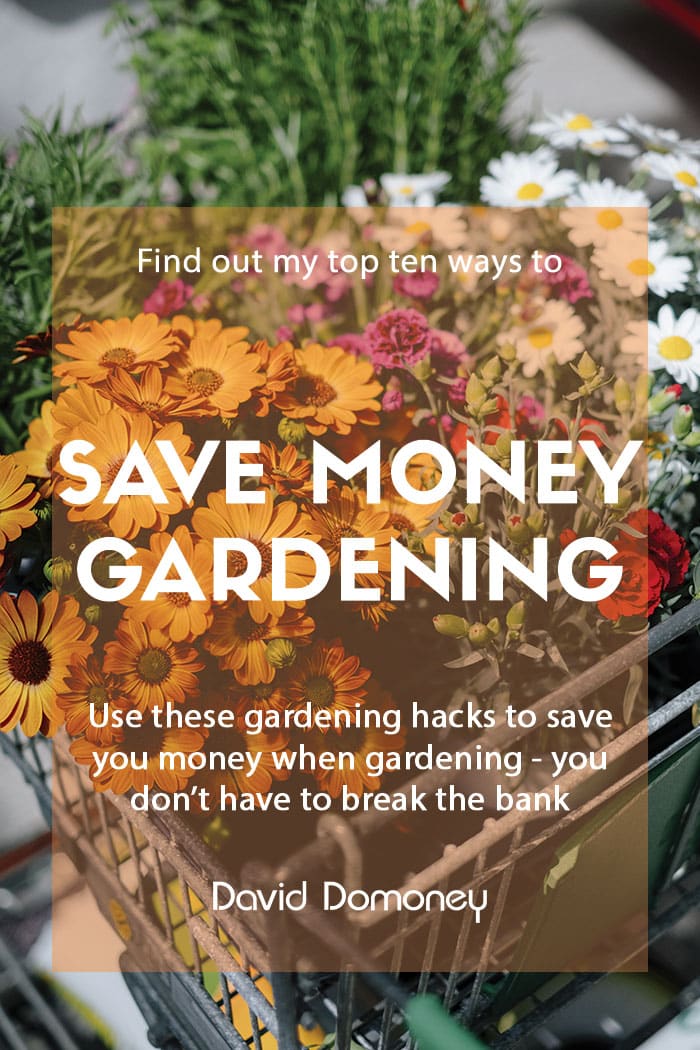 Ten ways to save money gardening