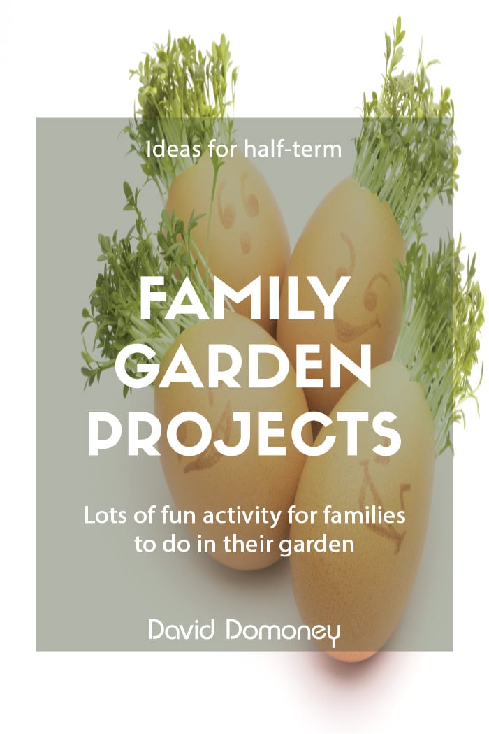 Half term garden projects