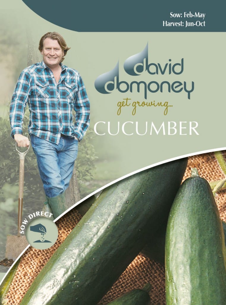 Cucumber