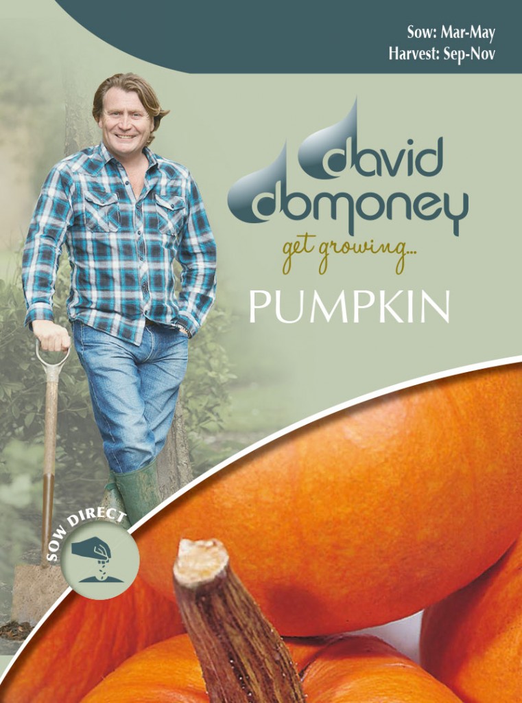 get growing pumpkin