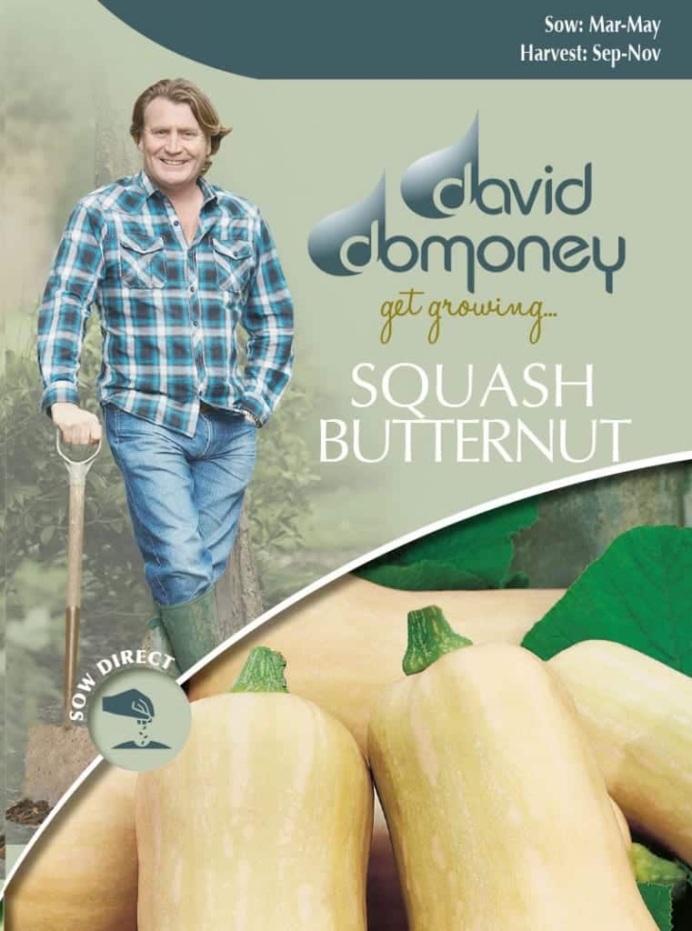 butternut squash