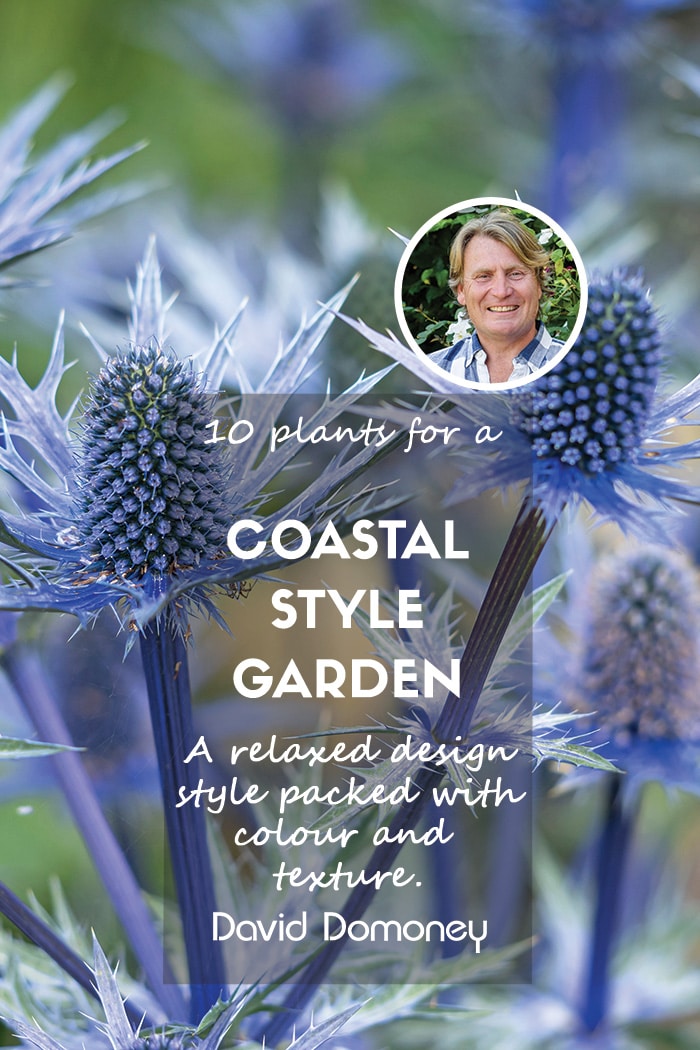 Coastal garden: The 10 best plants to get a seaside style