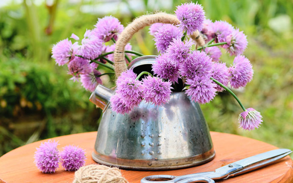 cut flowers for garden table