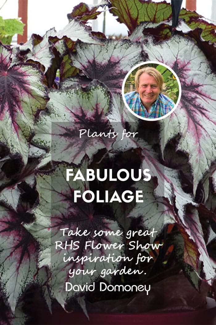 Fabulous Foliage Ideas