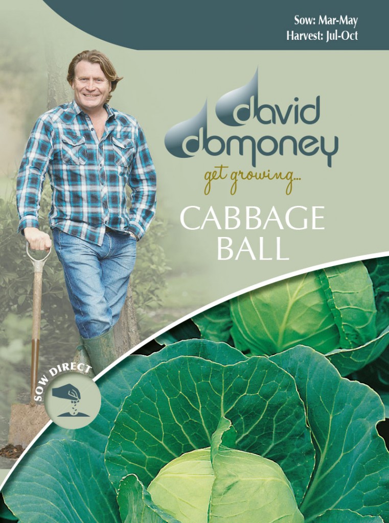 cabbage ball