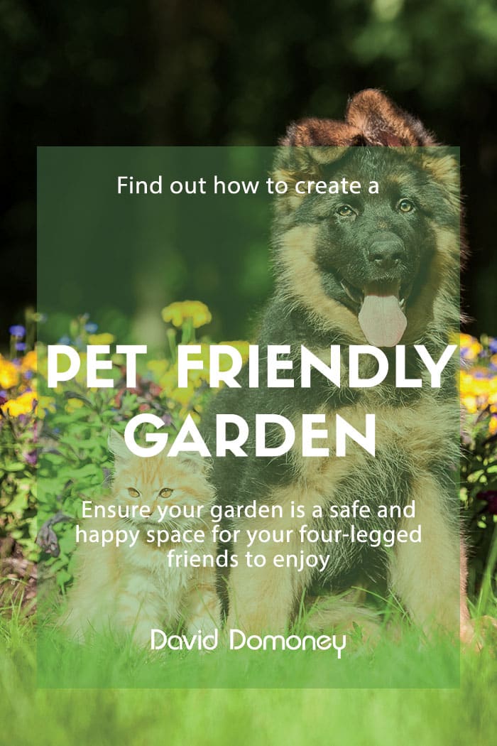 Ways to create a pet friendly garden