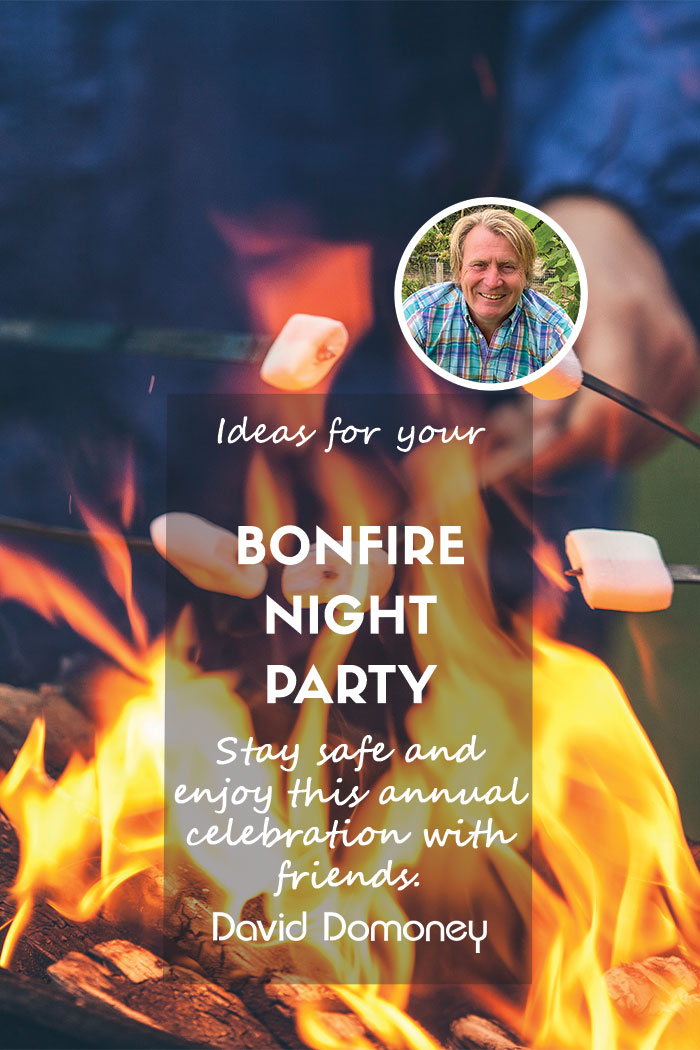 bonfire night party feature