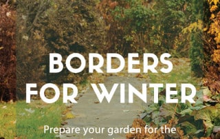 winter borders