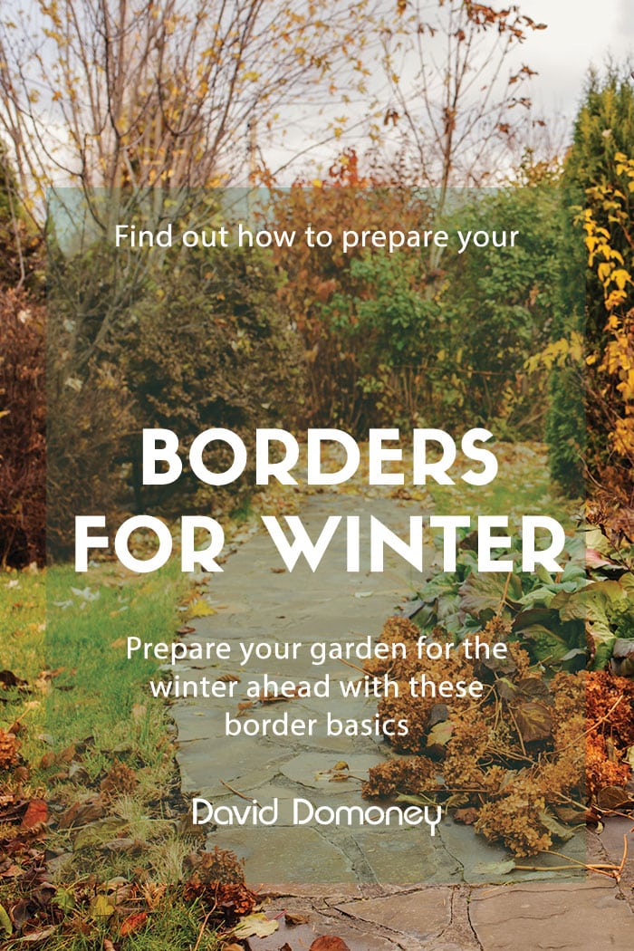 How to Prepare Your Borders for Winter