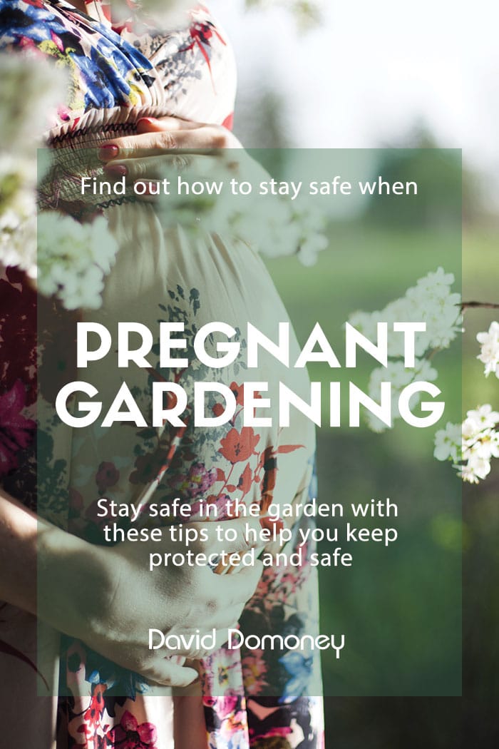 Gardening while pregnant